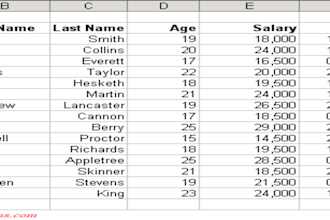 clean, format, merge, split excel data