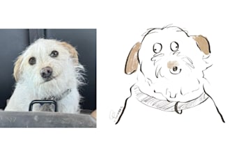 doodle your pet in silly style