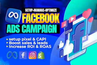 setup, audit, optimize facebook ads campaign for lead and sales