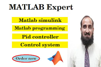 do matlab, simulink, programming, pid controller and control system projects