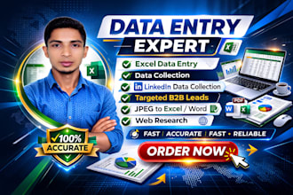 be virtual assistant excel data entry  b2b lead generation