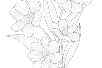 create botanical line art illustration and hand drawn floral vector