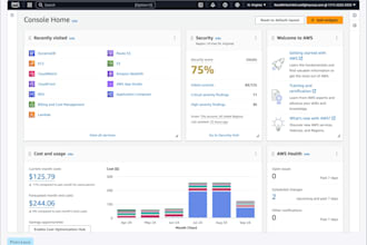 deploy and manage AWS cloud infrastructure with devops best practices