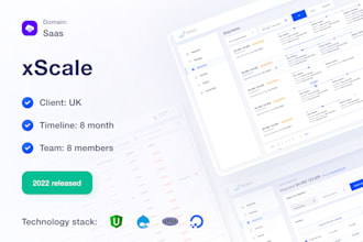 develop a scalable custom angular spa or saas dashboard