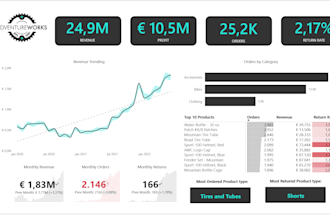 make professional power bi reports and dashboards