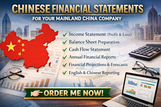 prepare chinese financial statements for your mainland china company