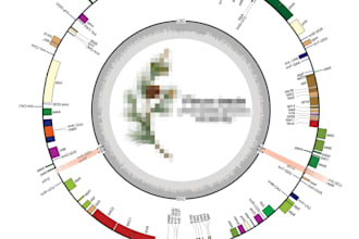 perform chloroplast genome assembly and comparative analysis
