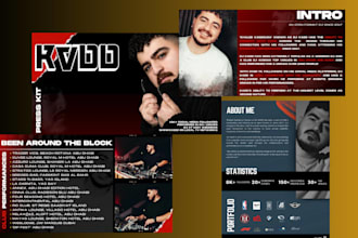 design professional epk for musician press kit artist media kt dj press kit band