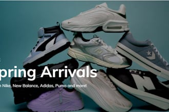 build a branded shopify sneakers and shoe store for reselling and dropshipping
