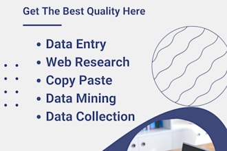 do professional data entry, typing, copy paste and web research