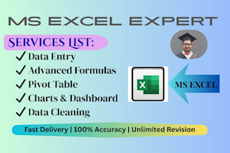 do professional ms excel data entry and excel expert work