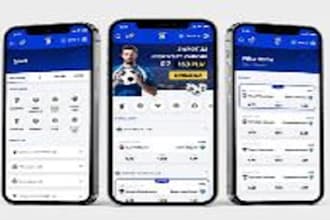 develop bet website, sport bet app, sport bet website, crypto bet app