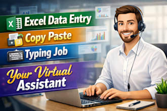 do manual data entry, copy paste, and web research in excel professionally