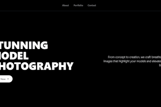 design professional graphics and websites