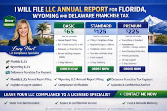 file llc annual report for US llc in florida, wyoming, delaware franchise tax