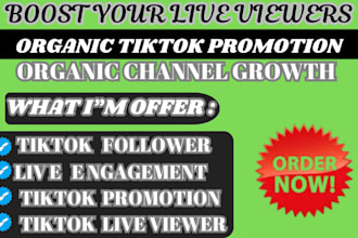 tiktok promotion, tiktok followers, tiktok monetization