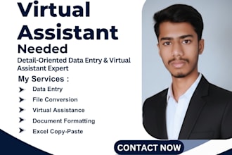 be your detail oriented virtual assistant for data entry