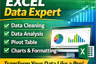 create an excel data cleaning, formatting and pivot table