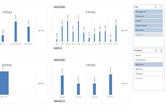 excel data cleaning, formatting, pivot table and dashboard
