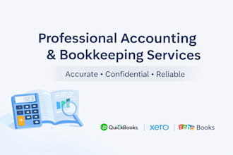do professional accounting and bookkeeping for startups and businesses