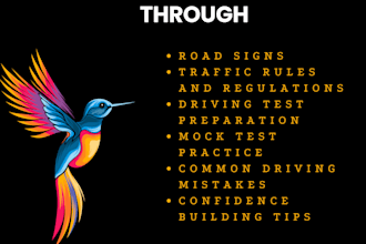 give professional online driving lessons and test preparation