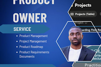 be your product owner and IT delivery manager
