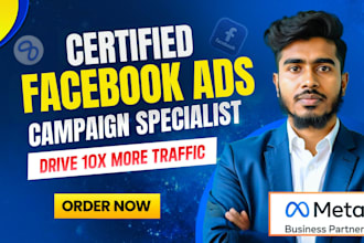 run facebook ads campaign, instagram ads, meta ads, shopify ads for maximum ROI