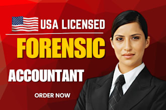 perform forensic accounting for divorce, court case legal dispute, fraud audit