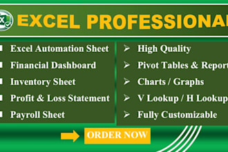 create a professional custom excel sales dashboard