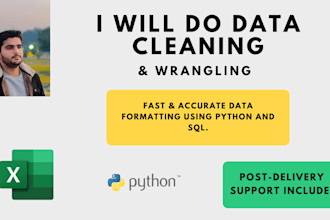 do data cleaning, formatting and merging in python and excel