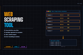 build a custom web scraping tool in python or playwright