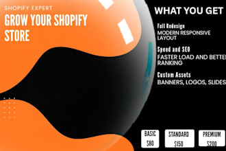 be your shopify consultant and mentor