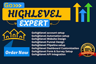 create gohighlevel website design, sales funnel automation, go high level expert