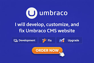 develop, customize, and fix umbraco cms website