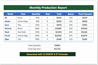 do excel data entry, reports, salary sheet and data cleaning