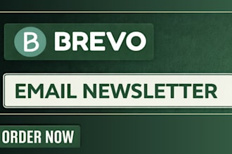 professional setup newsletter on brevo