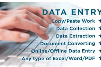 do excel data entry, data entry, PDF to excel data entry