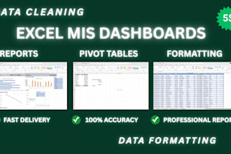excel data cleaning, formatting, and create mis dashboards