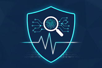 perform professional vapt and network penetration testing