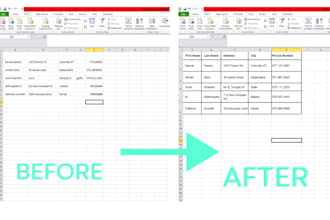 do excel data entry and data cleaning and formatting and mail merge