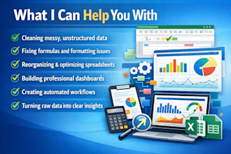 cleaning and data entry in microsoft excel
