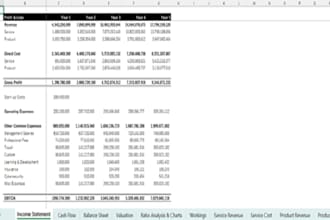 perform business valuation for business planning