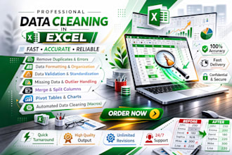 excel data entry and excel data cleaning, data cleanup