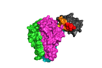 perform molecular dynamics simulation and protein analysis