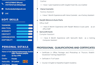 design a professional resume, CV, and cover letter