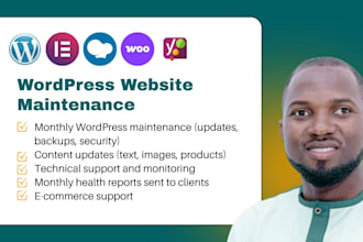 take care of your wordpress website with expert support
