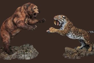 create realistic 3d fur animal models for games, animation, tiger fur model xgen