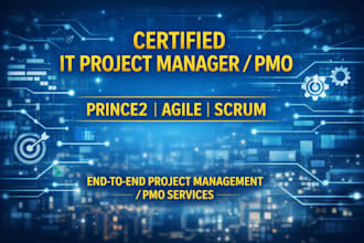 professionally deliver end to end IT project management services