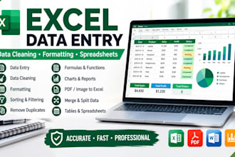 do excel data entry data cleaning formatting and spreadsheet tasks