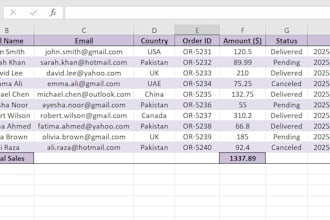 organize format and automate your data tasks